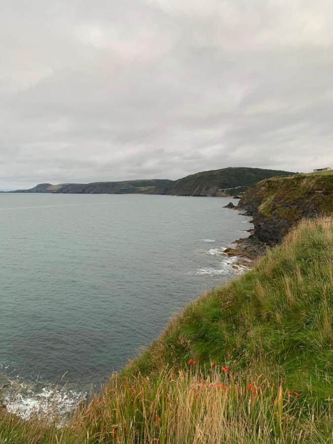 Willa Wild Coastal Retreat At Troed Y Rhiw Aberporth, West Wales Zewnętrze zdjęcie